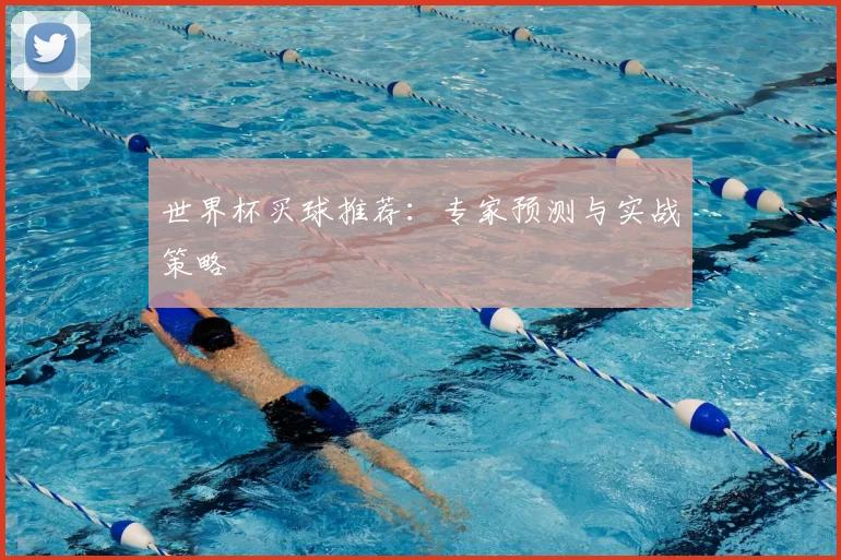 世界杯买球推荐:专家预测与实战策略