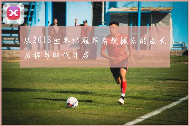从2018世界杯冠军看樊振东的成长历程与时代开启