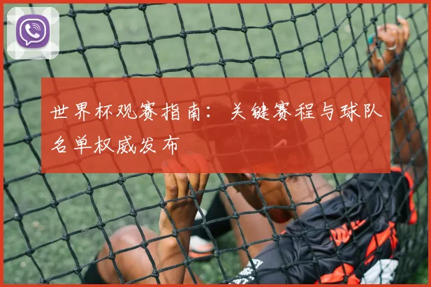 世界杯观赛指南：关键赛程与球队名单权威发布