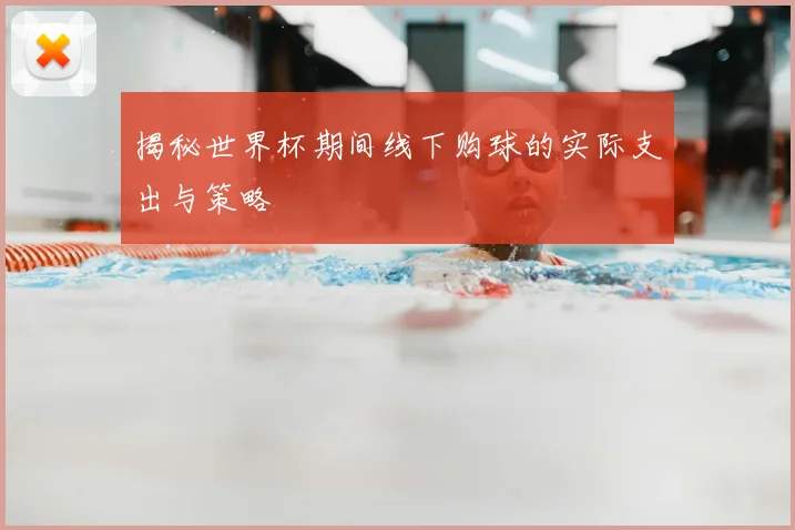 揭秘世界杯期间线下购球的实际支出与策略
