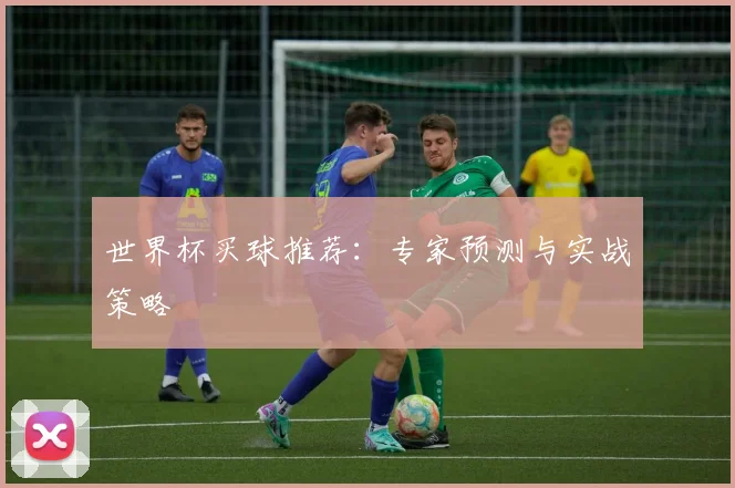 世界杯买球推荐:专家预测与实战策略