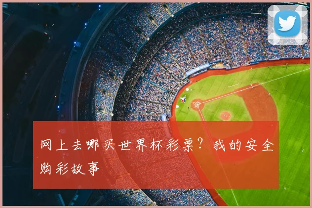 网上去哪买世界杯彩票？我的安全购彩故事