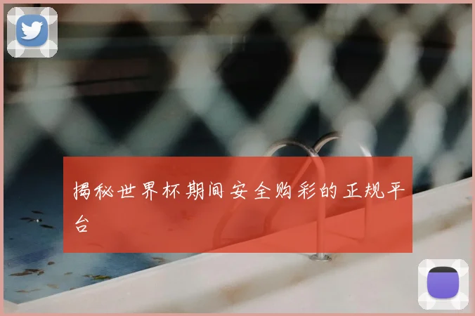 揭秘世界杯期间安全购彩的正规平台