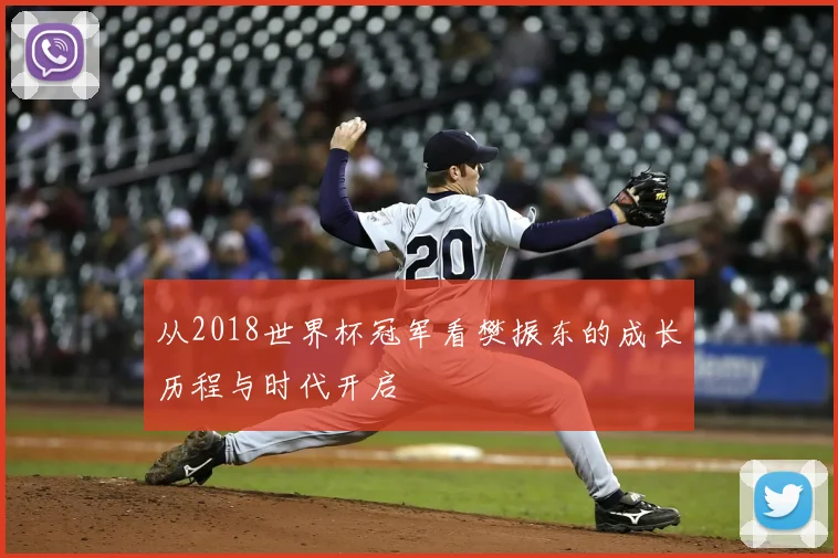 从2018世界杯冠军看樊振东的成长历程与时代开启