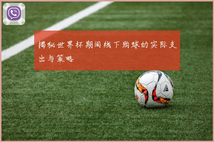 揭秘世界杯期间线下购球的实际支出与策略