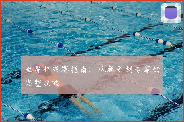 世界杯观赛指南：从新手到专家的完整攻略