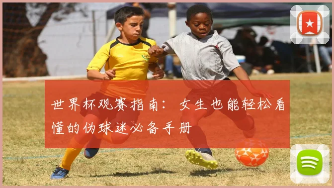 世界杯观赛指南：女生也能轻松看懂的伪球迷必备手册
