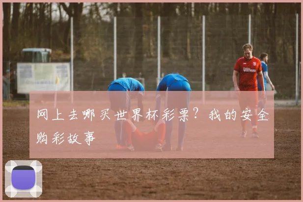 网上去哪买世界杯彩票？我的安全购彩故事