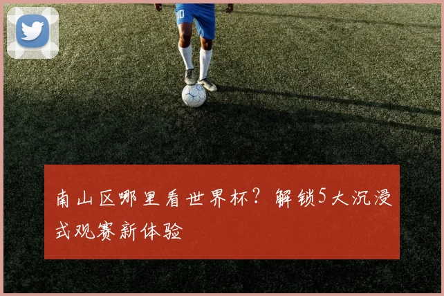 南山区哪里看世界杯？解锁5大沉浸式观赛新体验