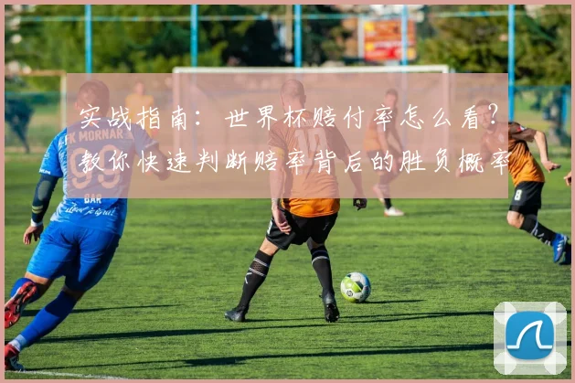 实战指南：世界杯赔付率怎么看？教你快速判断赔率背后的胜负概率