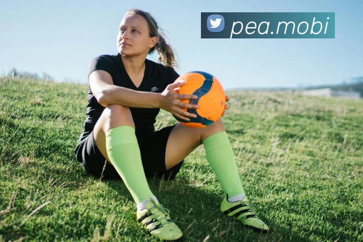 开云手机登录官网服务体系